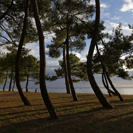 Prázdninový dům A 400m De La Plage, Maison Pour 8 Avec Piscine